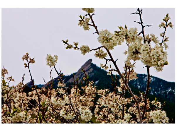 Flatirons - 8x10 Print