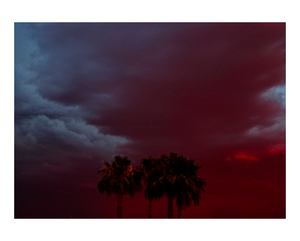 Neon Palm Trees - 8x10 Print